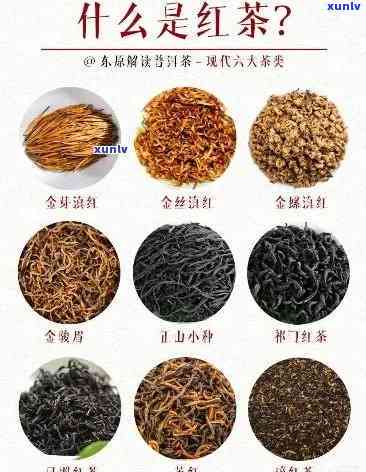 山东红茶有哪些品种，探秘山东红茶：了解其多样化的品种和特点