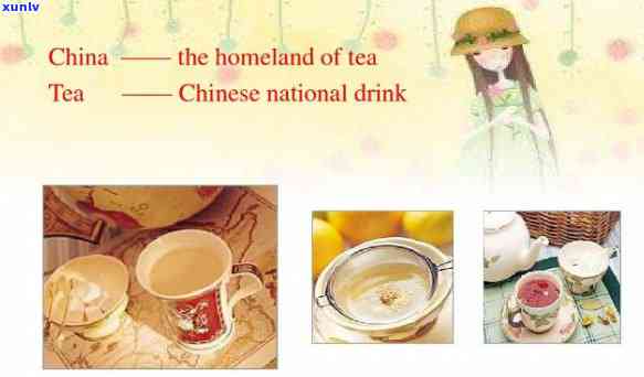 Exploring China's Tea Culture in Brief: An English Overview