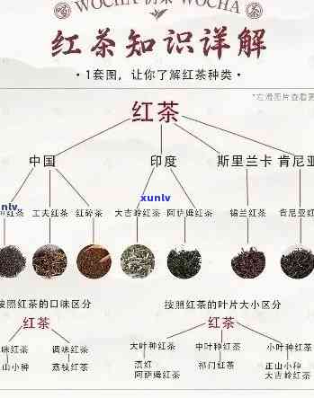 描述红茶的特征，探索红茶的独特特性：口感、香气与文化背景