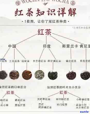 红茶的口感和香气描述，探寻红茶的独特魅力：口感与香气的深度解析