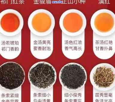红茶有哪些品种名称图片？详解各品种图片及价格