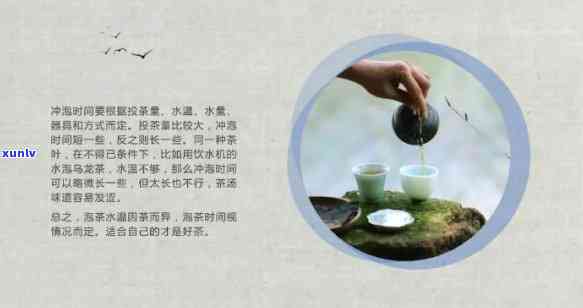 茶文化视频欣，品味千年：深度解读茶文化的魅力与艺术——茶文化视频欣