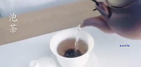 喝茶泡茶的工序视频-喝茶泡茶的工序视频教程