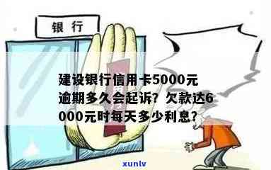 建设银行信用卡5000元逾期多久会起诉？逾期一年多会有何结果？