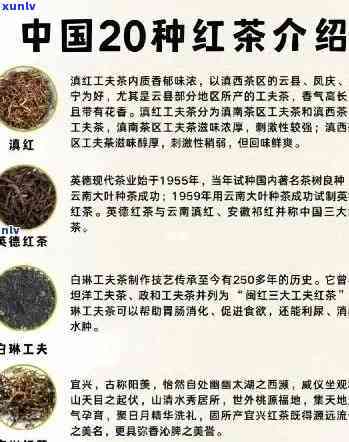 揭示世界顶级红茶排名，一网打尽红茶！