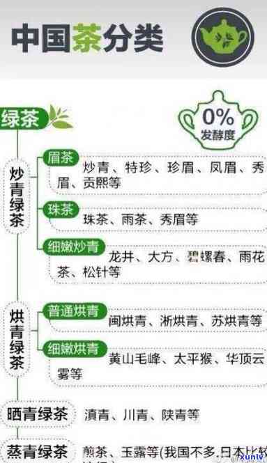 中国茶的分类：全面解析不包括哪些类别