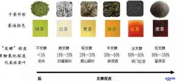 深入了解茶的分类发酵及其程度