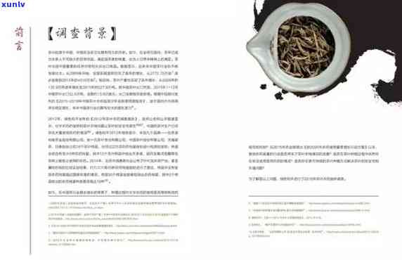 中国茶文化的影响力研究，探究中国茶文化的世界影响力：一深入的研究