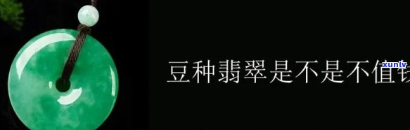 切出豆种翡翠如何正确保养？详细教程视频全在这里！