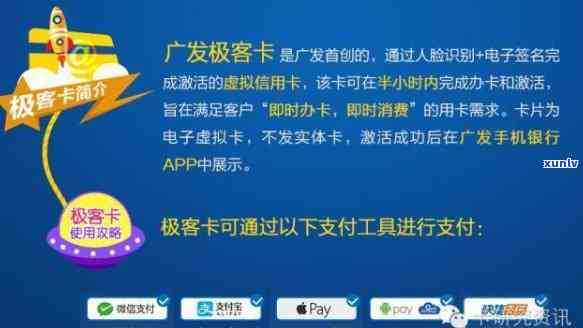 从品种、工艺到收藏价值：全面解勐傣普洱茶的深度探究与收藏指南