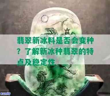 冰种会变种吗，探究冰种翡翠的稳定性：是否会变种？