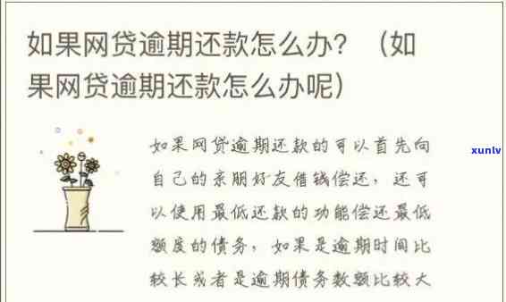 交通逾期多久会叫全部还款，交通逾期多久会引起全额还款？