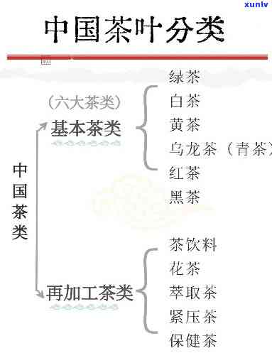 我国的茶分为几大类类型及其分类图片