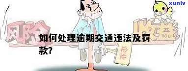 逾期交通罚款多少钱一天？去哪里交？