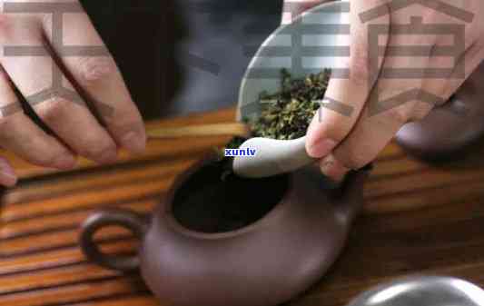 泡茶投茶的三种 *** 视频，掌握茶叶精髓：泡茶投茶的三种 *** 详解视频