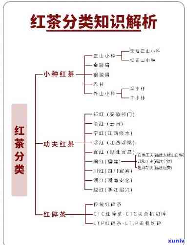 红茶分类的标准是什么？详细解析