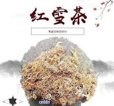 雪红茶副作用，警惕！雪红茶的副作用你了解吗？