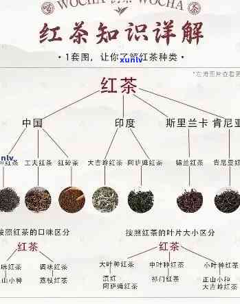 红茶有几种香型，探索红茶的多样性：了解红茶的几种香型