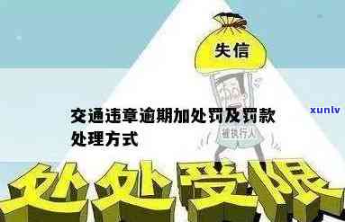 交通违法缴款逾期怎么解决，交通违法罚款逾期未交？这样解决！