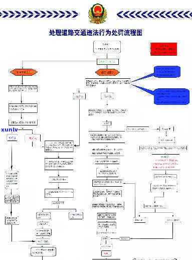 外地交通逾期解决流程全解析：步骤、图表与图片一应俱全