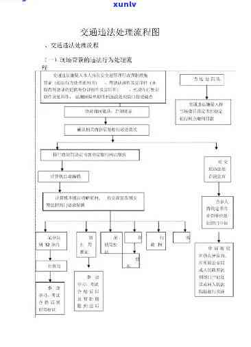 外地交通逾期处理流程全解析：步骤、图表与图片一应俱全