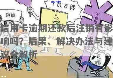 交通逾期还款注销是否有影响？知乎用户分享经验与建议