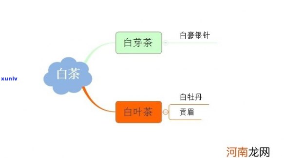 中国的茶文化思维导图：全面解析与英文版