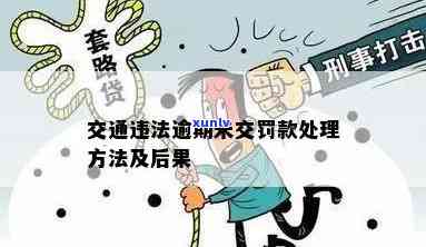 无锡交通罚款逾期解决  全攻略