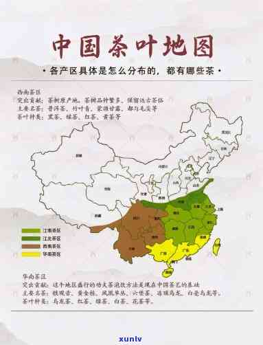 中国茶区的分布围-中国茶区的分布围是什么