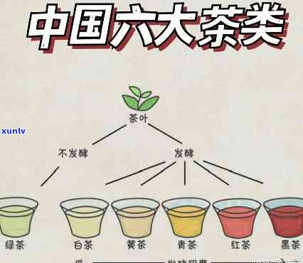 中国茶叶分几大茶系，探究中国茶叶的分类：揭秘几大茶系之谜