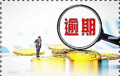 中信信用卡逾期15天：解决 *** 、影响和可能的后果全面解析