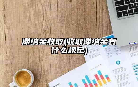 北京滞纳金政策：时间、次数及减免条件全解析