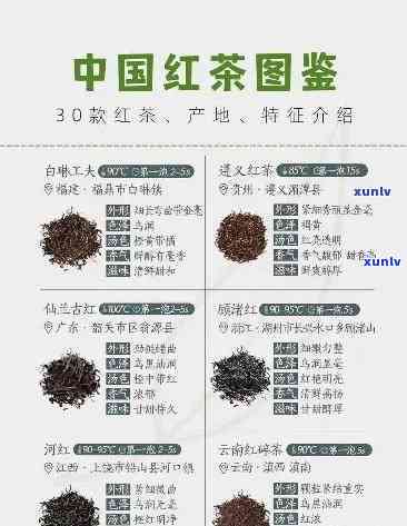 我国红茶主要分为几大类种及其特点