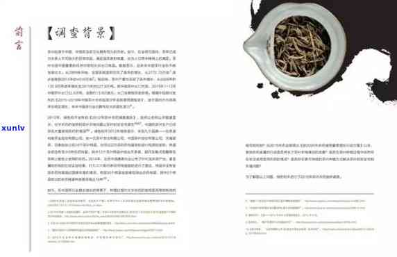 中国茶：对世界影响的深度研究与文化透视