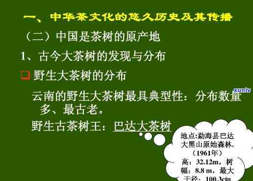 探究中国茶文化：包括其历、种类及传承方式