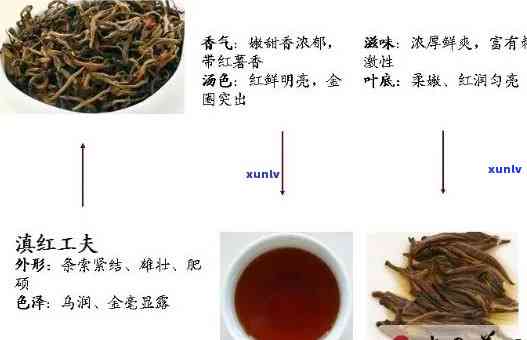 六大红茶分哪六种茶？详解其分类与特点