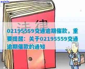 交通  0213110，警惕！接到0213110的交通  ，留意防诈骗风险！