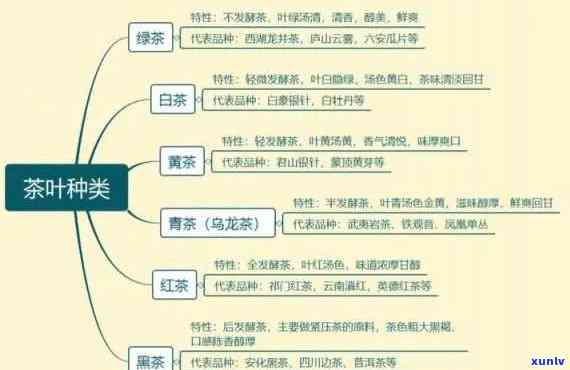 茶分类与品种和功效有关系吗？探讨其影响因素和重要性