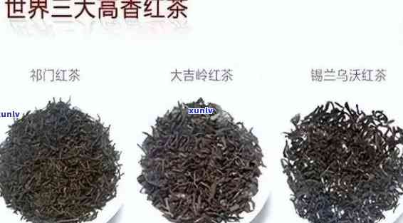 中国三大红茶分别是哪三种，揭示中国茶文化的魅力：探讨中国三大红茶的品种与特点