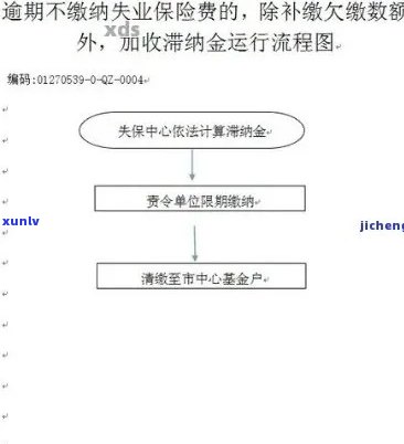 缴费逾期处理全攻略：流程、影响及解决 *** 