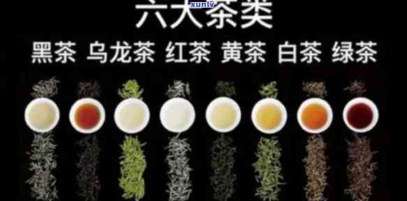 中国的茶分为五大类,红茶,花茶,乌龙茶,绿茶和砖茶，中国茶文化：探索红茶、花茶、乌龙茶、绿茶和砖茶的多样性