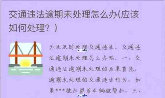 交通罚款可以逾期多久，逾期多久交交通罚款？答案在这里！