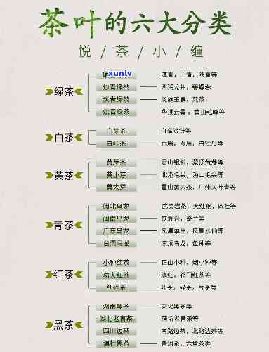 茶分为几大类及名称是什么，探究茶叶的分类：了解茶的几大类别及其名称