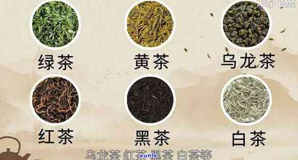 茶分为几大类分别是什么，详解茶叶的分类：你知道吗？