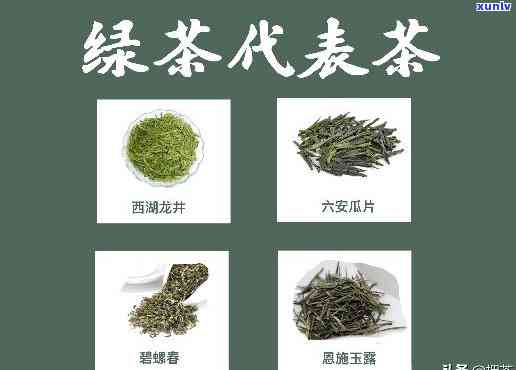 茶分为几大类分别是什么，详解茶叶的分类：你知道吗？