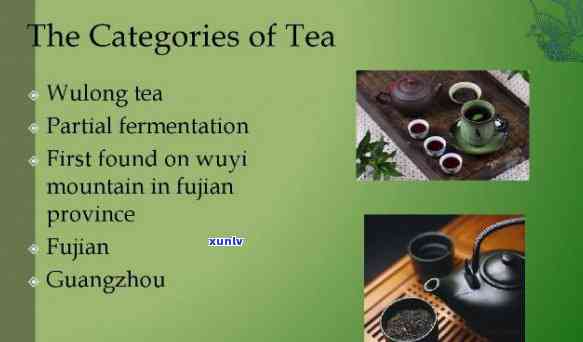 Exploring the Rich History of Chinese Tea Culture in English