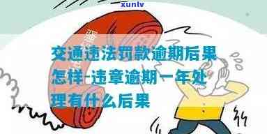 交通违法解决逾期-交通违法解决逾期了怎么办