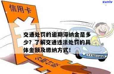 交通违规罚款逾期未缴收的滞纳金金额是多少？合理吗？