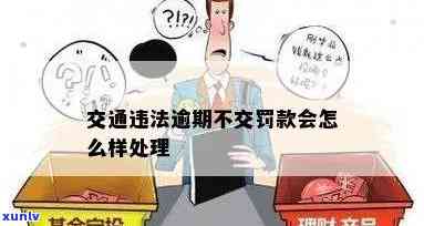 交通违规罚款逾期怎么办？错过期限、未收到通知，怎样解决?