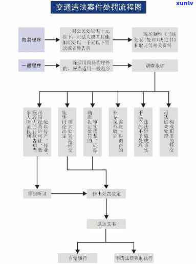 完整指南：逾期交通违法解决流程、流程图与图片全解析